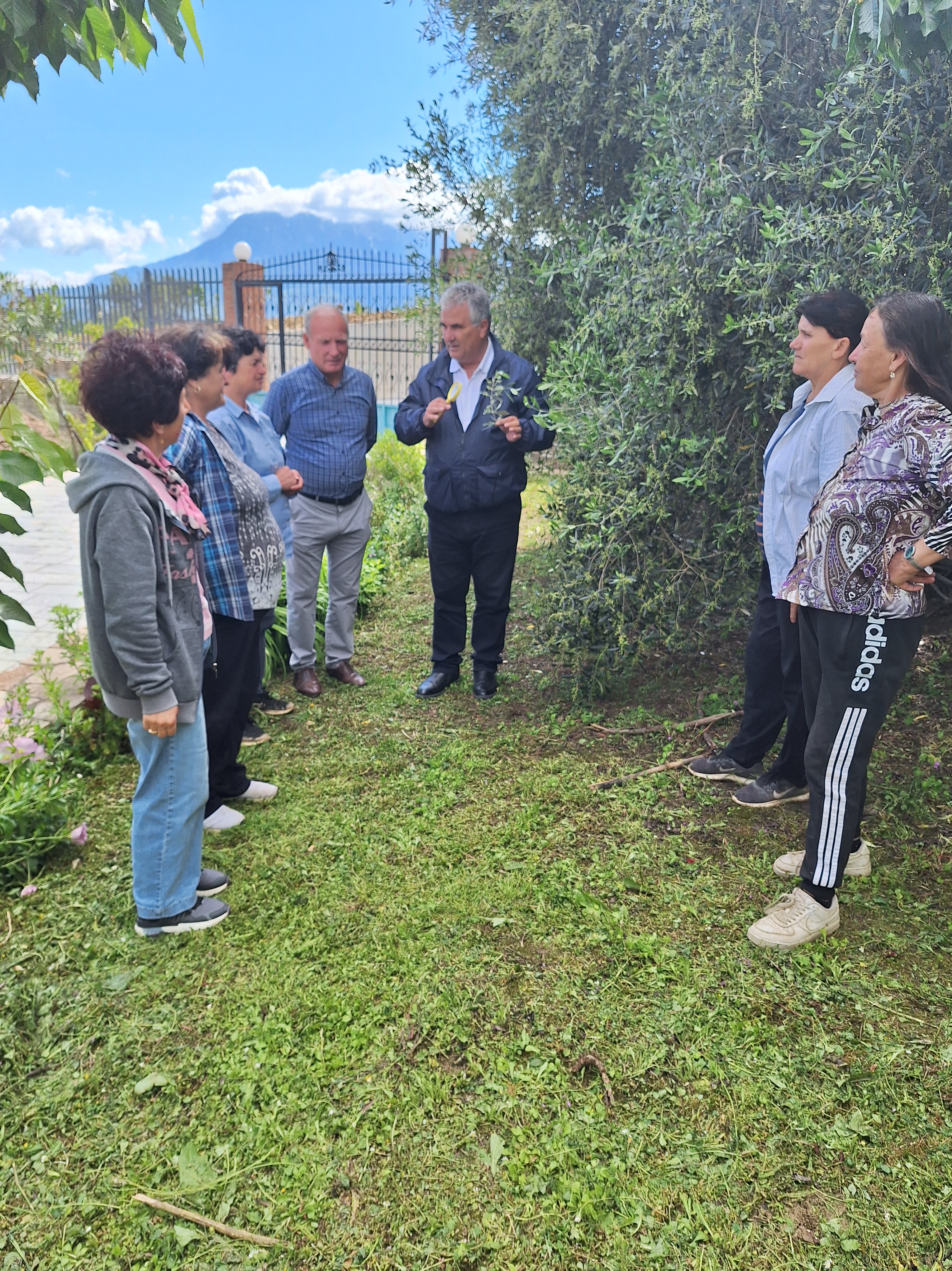 Gruppo di persone in visita agli uliveti del cluster di Berat