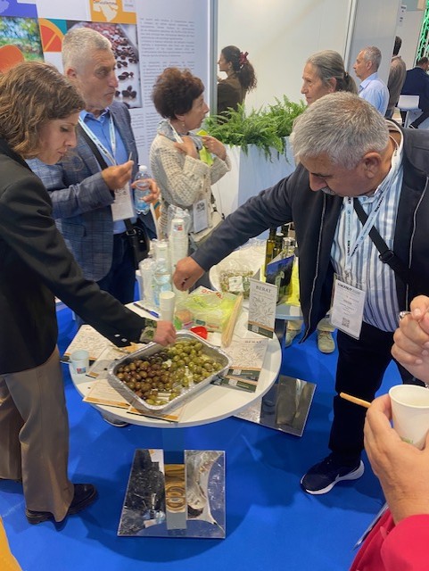 Degustazione di olio extravergine di oliva a Rimini