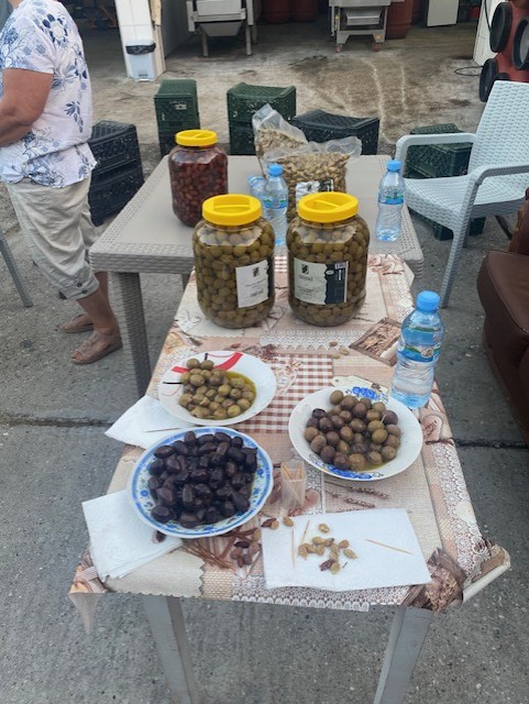 Tasting table with jars of Berat table olives in various varieties / Tavolinë me kavanoza ullinj të tryezës nga Berati në varietete të ndryshme